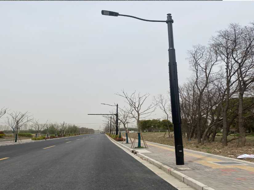 城区上海综合杆 太阳能路灯工程